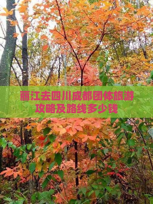 丽江去四川成都团体旅游攻略及路线多少钱
