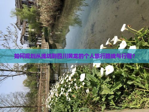 如何规划从潍坊到四川黄龙的个人旅行路线与行程？