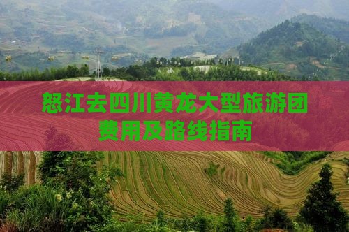 怒江去四川黄龙大型旅游团费用及路线指南