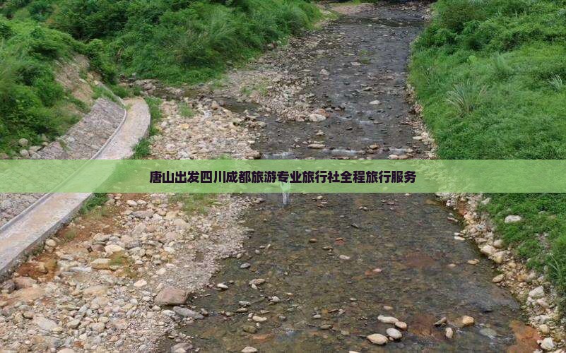 唐山出发四川成都旅游专业旅行社全程旅行服务