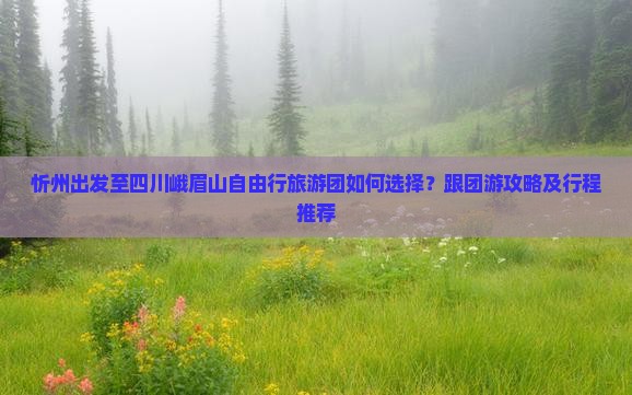 忻州出发至四川峨眉山自由行旅游团如何选择？跟团游攻略及行程推荐