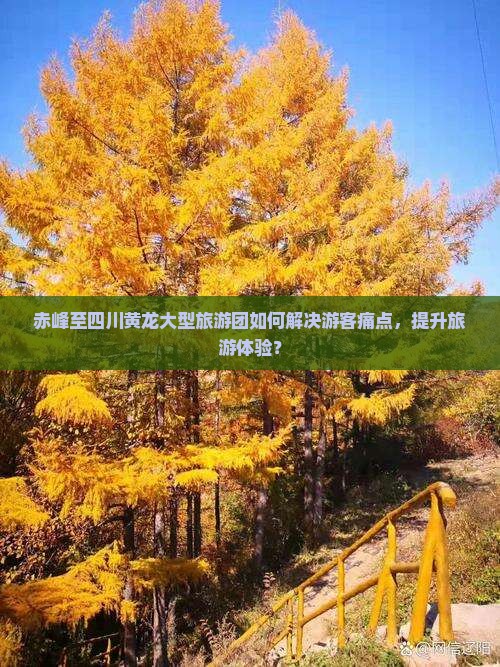 赤峰至四川黄龙大型旅游团如何解决游客痛点，提升旅游体验？