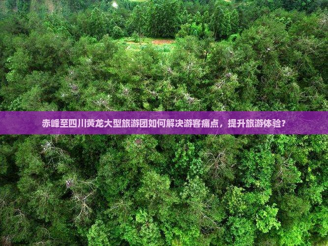 赤峰至四川黄龙大型旅游团如何解决游客痛点，提升旅游体验？