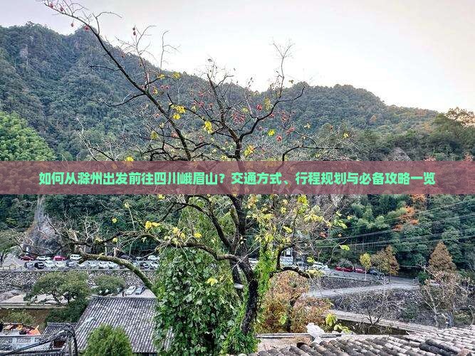 如何从滁州出发前往四川峨眉山？交通方式、行程规划与必备攻略一览