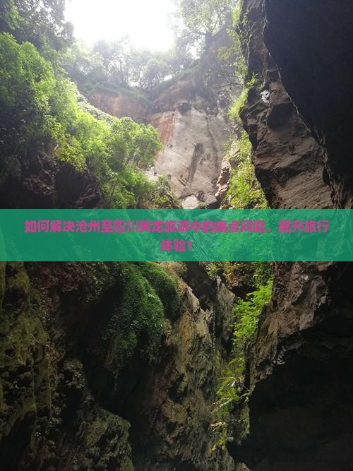 如何解决沧州至四川黄龙旅游中的痛点问题，提升旅行体验？