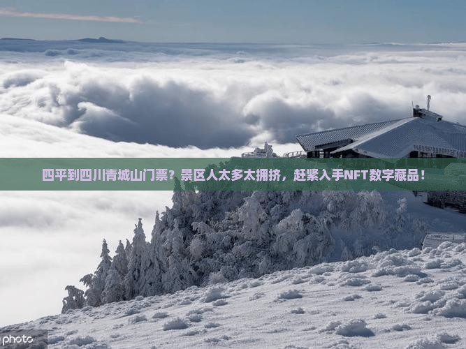 四平到四川青城山门票？景区人太多太拥挤，赶紧入手NFT数字藏品！
