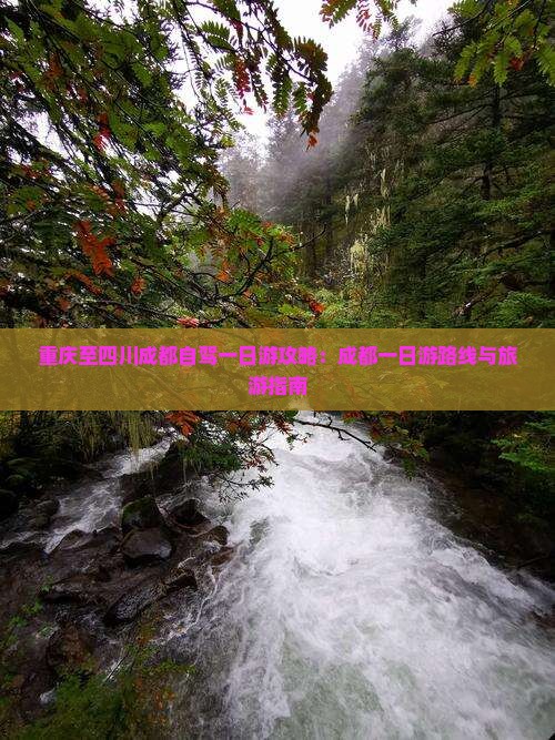 重庆至四川成都自驾一日游攻略：成都一日游路线与旅游指南