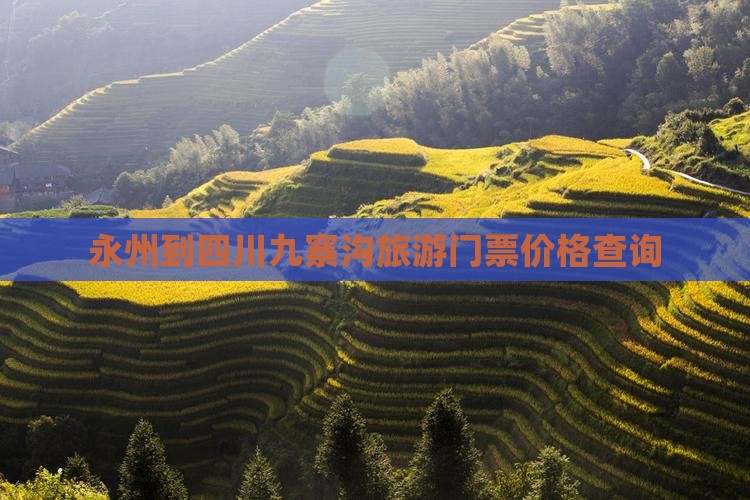 永州到四川九寨沟旅游门票价格查询