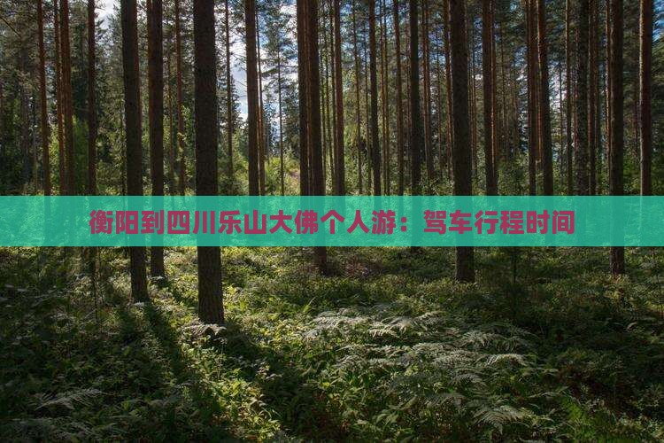 衡阳到四川乐山大佛个人游：驾车行程时间