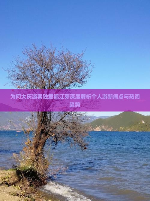 为何大庆游客独爱都江芽深度解析个人游新痛点与热词趋势