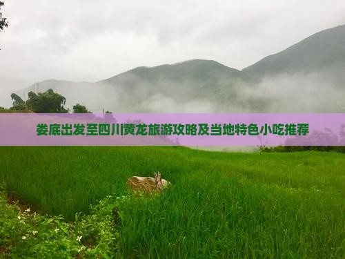 娄底出发至四川黄龙旅游攻略及当地特色小吃推荐