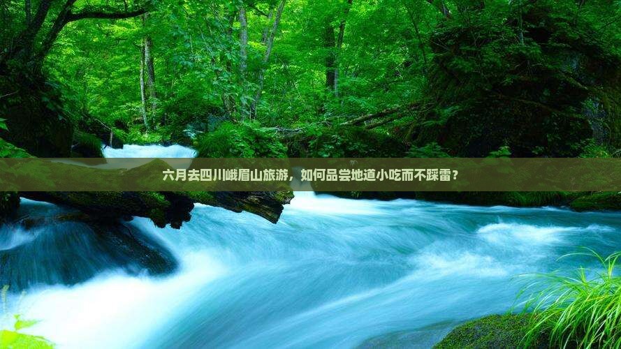 六月去四川峨眉山旅游，如何品尝地道小吃而不踩雷？