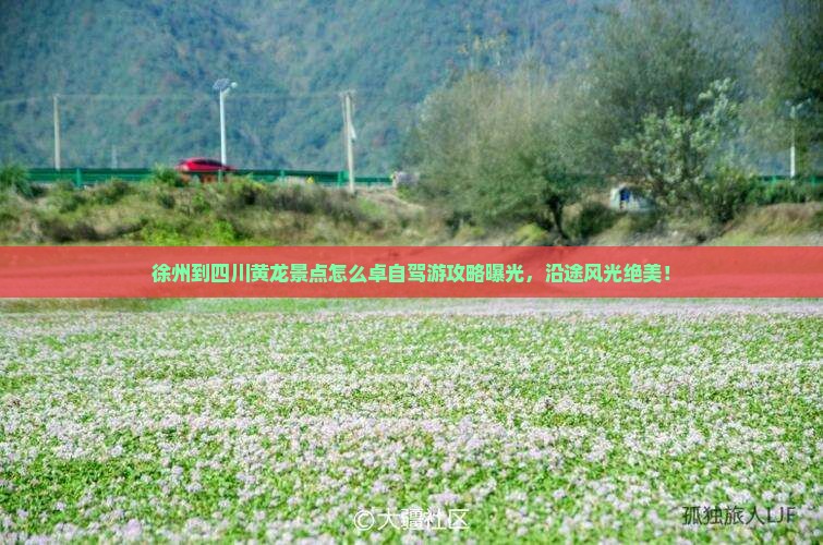 徐州到四川黄龙景点怎么卓自驾游攻略曝光，沿途风光绝美！