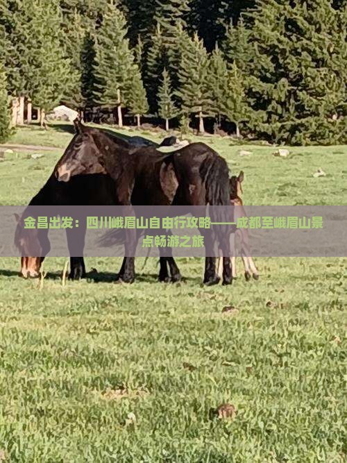 金昌出发：四川峨眉山自由行攻略——成都至峨眉山景点畅游之旅