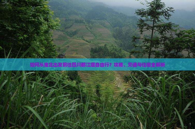 如何从淮北出发前往四川都江堰自由行？攻略、交通与住宿全解析