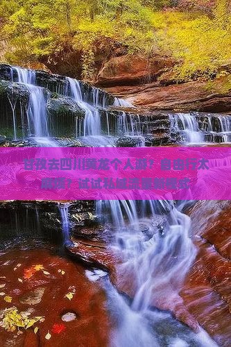 甘孜去四川黄龙个人游？自由行太麻烦？试试私域流量新模式