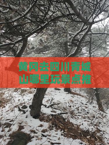 黄冈去四川青城山哪里玩景点推荐