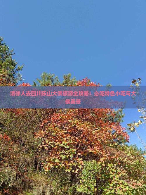 清徐人去四川乐山大佛旅游全攻略：必吃特色小吃与大佛美景