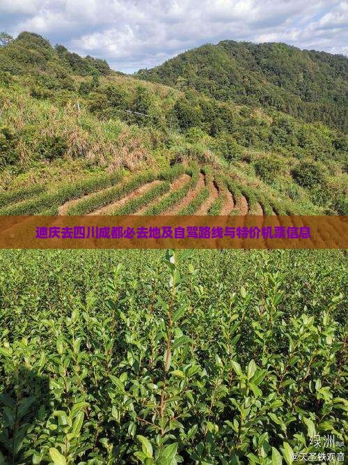 迪庆去四川成都必去地及自驾路线与特价机票信息