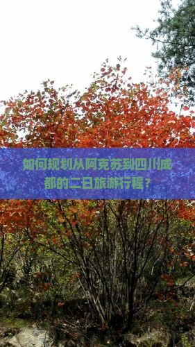 如何规划从阿克苏到四川成都的二日旅游行程？