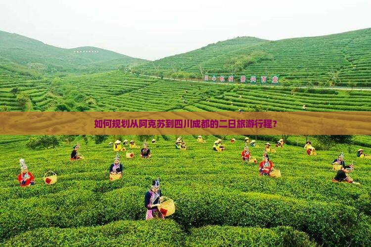 如何规划从阿克苏到四川成都的二日旅游行程？