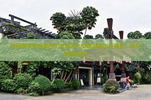 如何解决沧州至四川九寨沟大型旅游团出行痛点，提升游客体验？