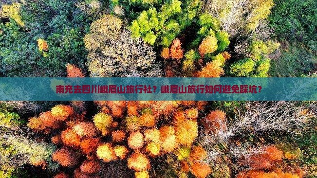 南充去四川峨眉山旅行社？峨眉山旅行如何避免踩坑？