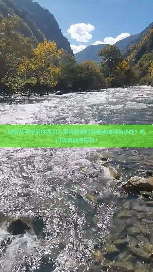 如何从西宁前往四川九寨沟旅游时品尝当地特色小吃？热门美食痛点解析！