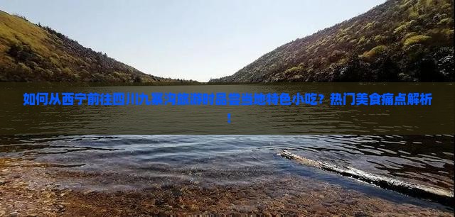 如何从西宁前往四川九寨沟旅游时品尝当地特色小吃？热门美食痛点解析！