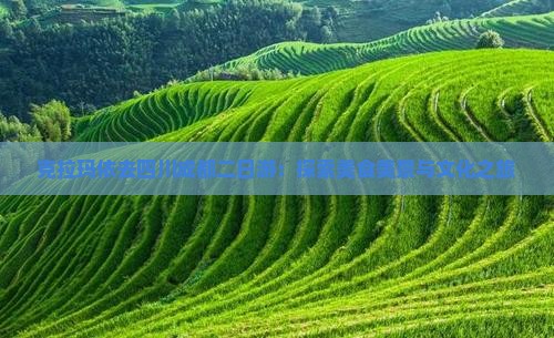 克拉玛依去四川成都二日游：探索美食美景与文化之旅