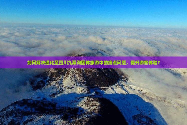 如何解决通化至四川九寨沟团体旅游中的痛点问题，提升游客体验？