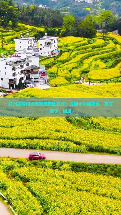 抚州去四川成都哪里玩比较好：成都大熊猫基地、宽窄巷子、锦里