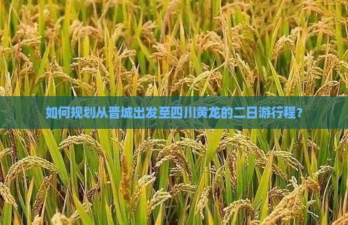 如何规划从晋城出发至四川黄龙的二日游行程？