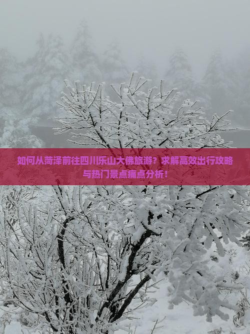 如何从菏泽前往四川乐山大佛旅游？求解高效出行攻略与热门景点痛点分析！