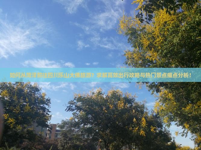 如何从菏泽前往四川乐山大佛旅游？求解高效出行攻略与热门景点痛点分析！