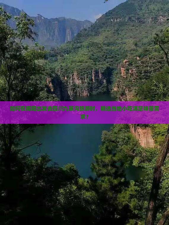 如何在揭阳出发去四川九寨沟旅游时，精选当地小吃满足味蕾需求？