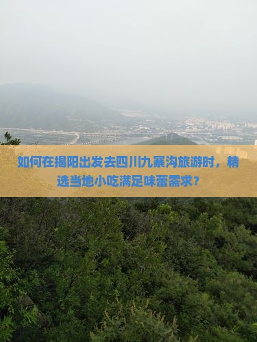 如何在揭阳出发去四川九寨沟旅游时，精选当地小吃满足味蕾需求？