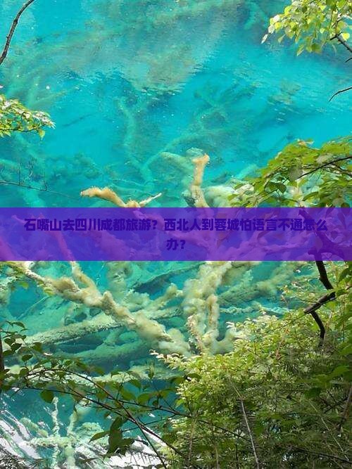 石嘴山去四川成都旅游？西北人到蓉城怕语言不通怎么办？