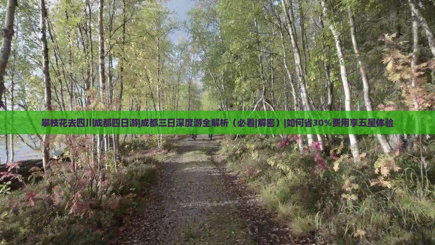 攀枝花去四川成都四日游