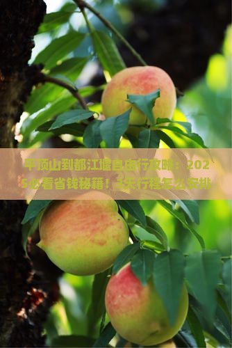 平顶山到四川都江堰自由团