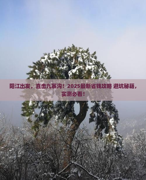 阳江到四川九寨沟攻略