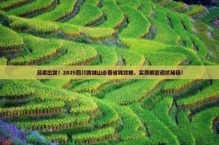吕梁去四川青城山攻略 吕梁去四川青城山攻略