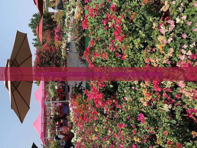 九江到四川都江堰旅游