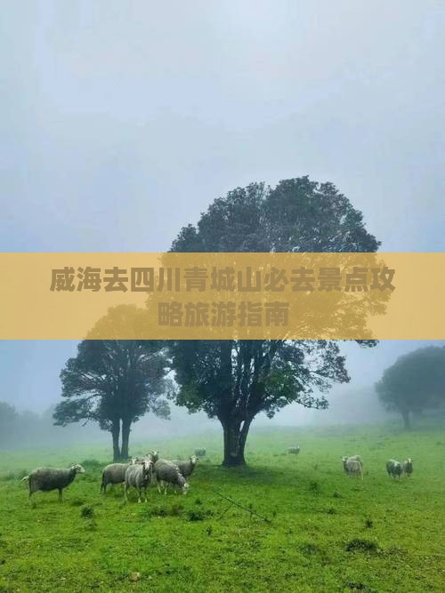 威海去四川青城山必去地