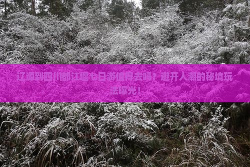 辽源到四川都江堰七日游