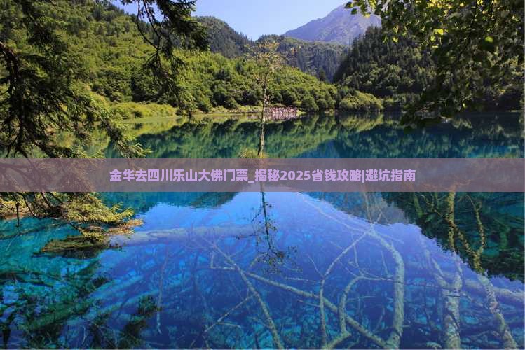 金华去四川乐山大佛门票