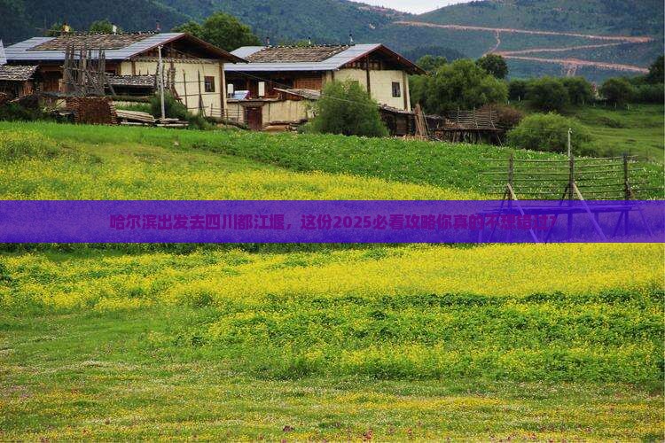 哈尔滨去四川都江堰旅行社