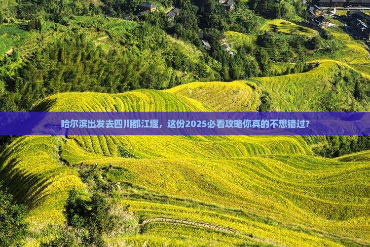 哈尔滨去四川都江堰旅行社