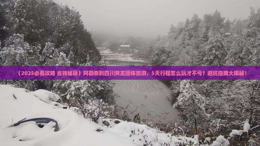 阿勒泰到四川黄龙团体旅游