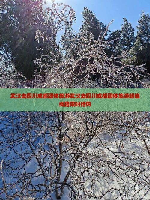 武汉去四川成都团体旅游